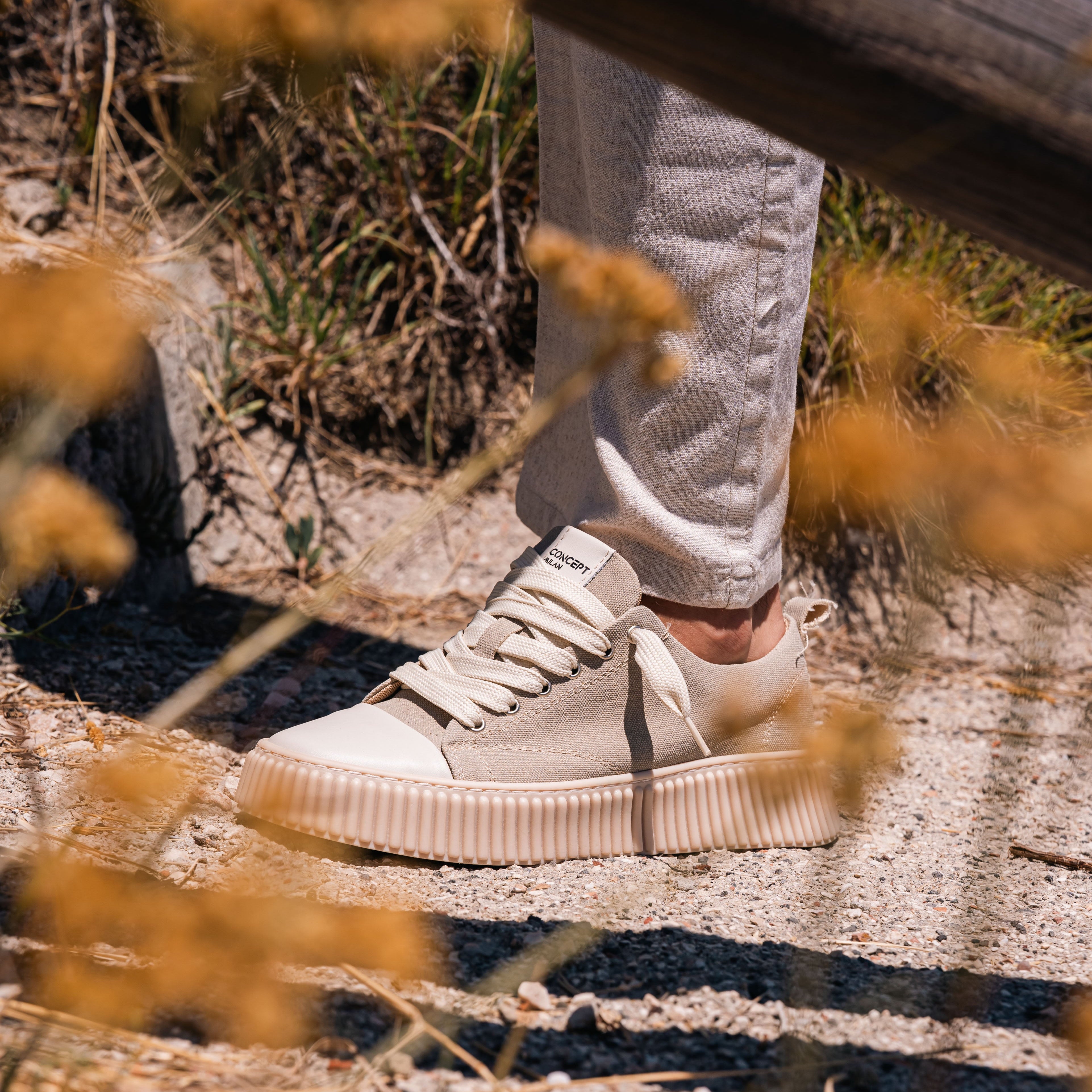 VAPOR 2.0 WIT CANVAS